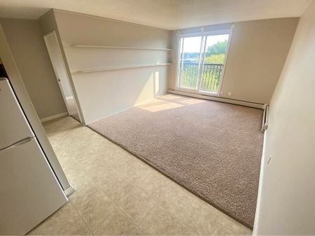1 Bed Apartment | West Edmonton | Electricity & Water Included - Photo 3