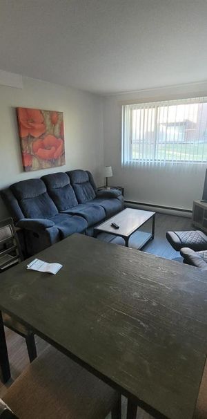 1845 Saint Louis (Gatineau) Super Appartement 3 1/2, Dans Un Quartier Résidentiel Très Tranquille. - Photo 1