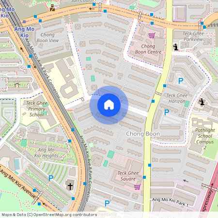 419 ANG MO KIO AVENUE 10, 560419, Singapore