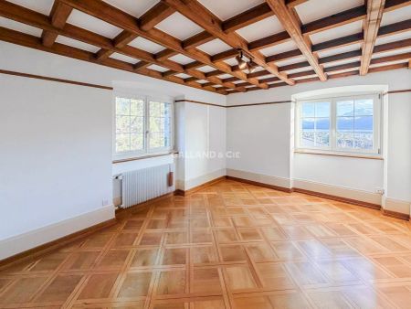 Un havre de paix aux portes de Vevey - Photo 2