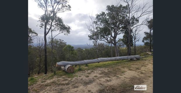 Charming Two-Bedroom Cabin with Stunning Mountain Views! - Photo 1
