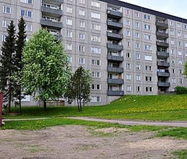 Baron Rogers Gata 15 - Foto 1