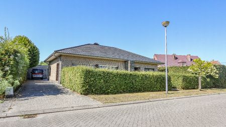 Gelijkvloerse woning met 3 slaapkamers te Westerlo - Photo 4