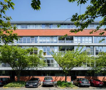 Lichtrijk appartement nabij de Coupure met ruime garageb - Photo 5