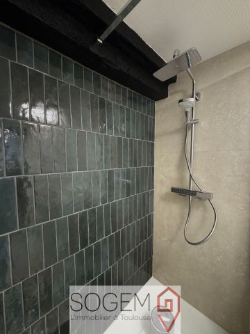 Appartement T1 en location à Toulouse - Photo 2