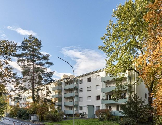 Gemütliche Wohnung in Birsfelden gesucht? - Photo 1