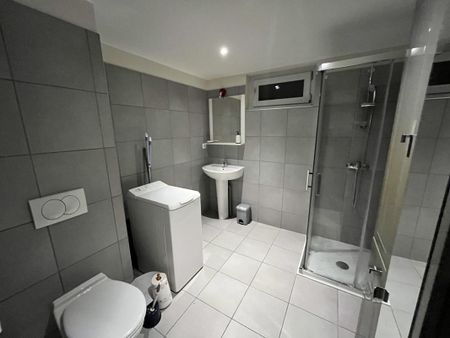 Location Appartement 1 pièce Meublé 33m² LE BOURGET DU LAC 73370 - Photo 4