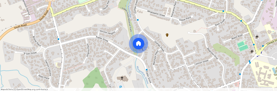 12 Heaphy Street, Westown, New Plymouth