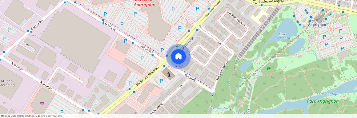 1991 Rue Senkus, LaSalle, LaSalle, Ile de Montréal, H8N 0K1