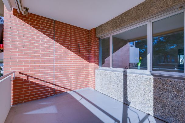 3.5-room apartment right on the edge of the forest - Photo 1