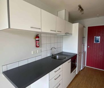 Frankton Studio Unit - Photo 2