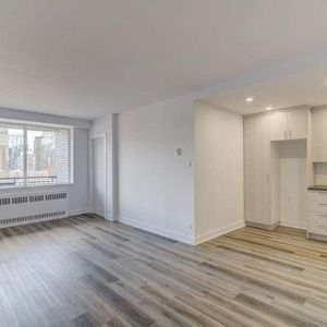 1 CH - 1 SDB - Montréal - $1,650 /mo - Photo 2