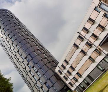 Annex Platinum Plus - Photo 2