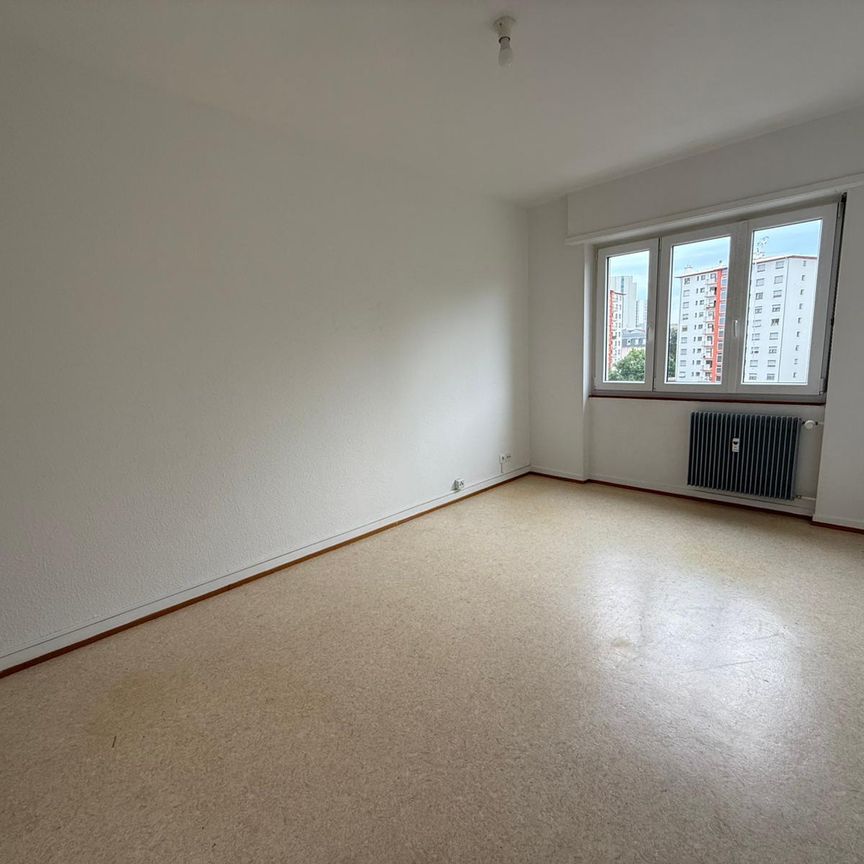 Location Appartement 2 pièces 45m² ST LOUIS 68300 - Photo 1