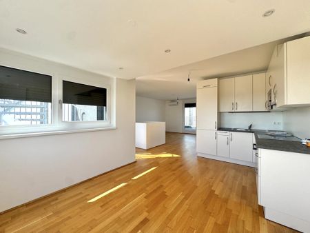 Penthouse mit Donaublick und 360 Grad Dachterrasse - direkt an der Alten Dona - Photo 2