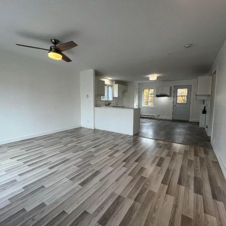 Beau grand 4 et demi lumineux et tranquille - Photo 3