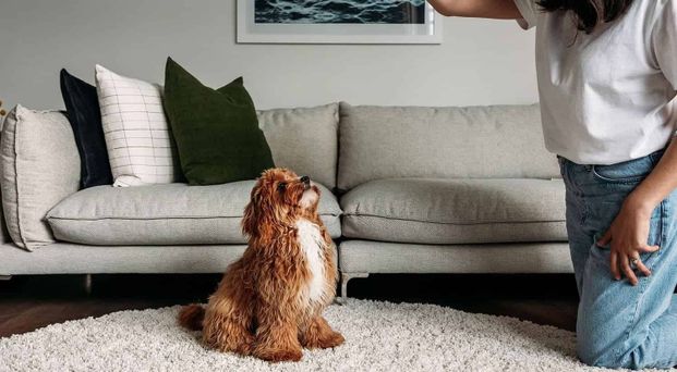 Welcome home to 135 Victoria Street - Photo 1