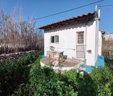 Μονοκατοικία για ενοικίαση Βάρη (Σύρος) - Photo 6