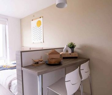 Luxury Studio - Photo 5