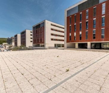 2 room luxury Flat for rent in Alto de Alges (Alges), Oeiras, Lisbon - Photo 1