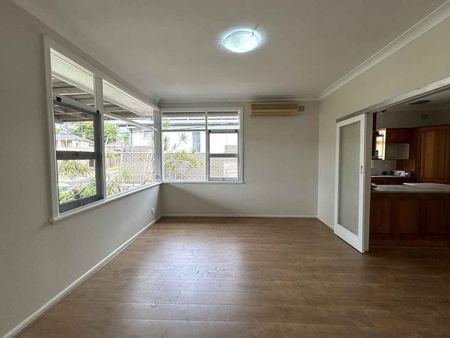 49 Kilbride Street Hurlstone Park - Photo 5