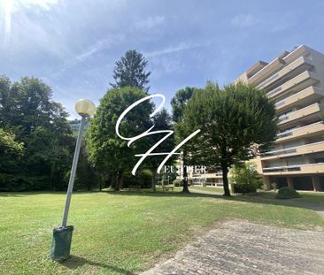 GRENOBLE Ile Verte - APPARTEMENT T2 MEUBLE - Photo 1