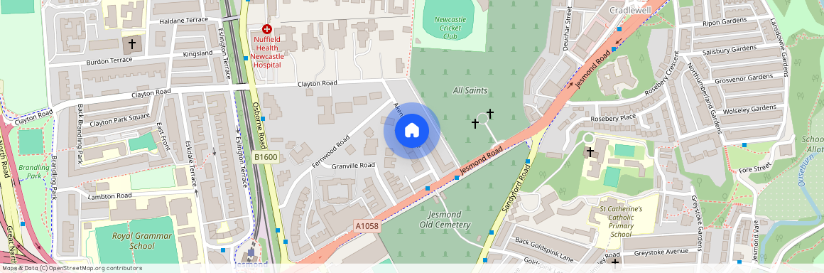 Akenside Lower, Jesmond