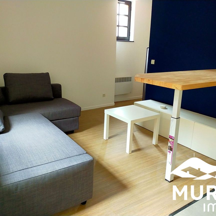 Location Appartement 1 pièce 27m² CLERMONT FERRAND 63100 - Photo 1