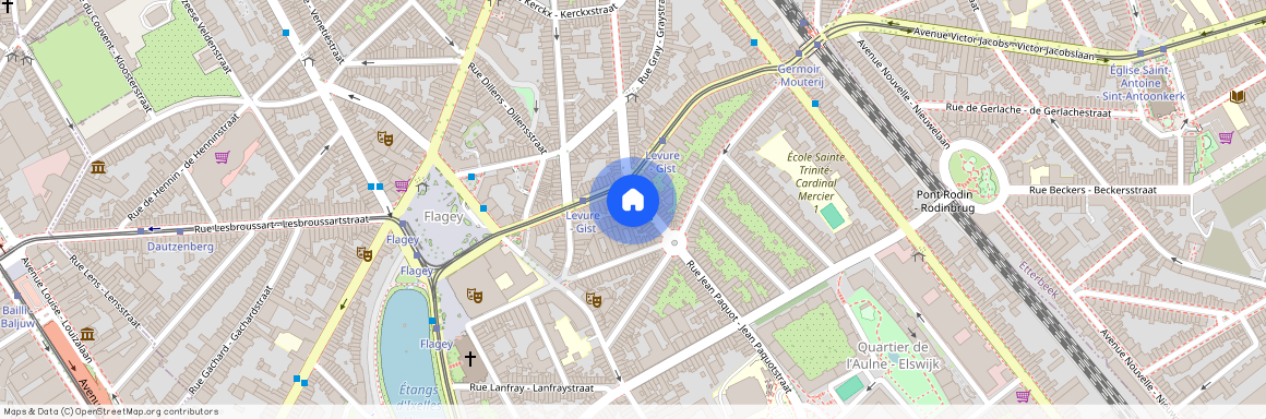 Rue de la Levure - Giststraat 37, 1050 Ixelles - Elsene, Belgium