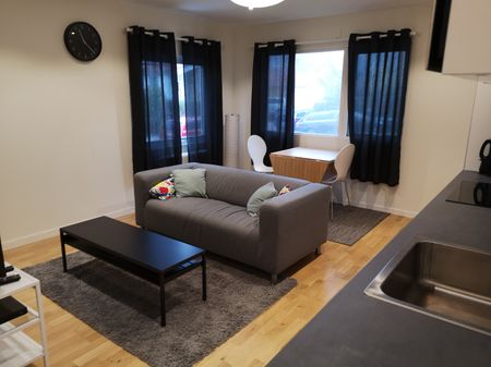 Tröskaregatan, Göteborg - Photo 2