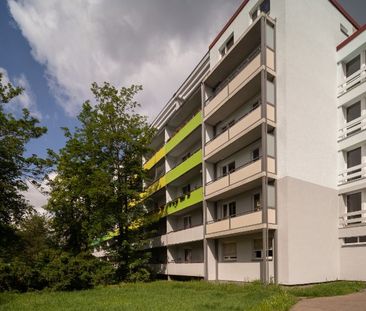 Frisch sanierte 1 Zimmer-Wohnung mit Dachterrasse zum 01.02.2025 - Foto 3