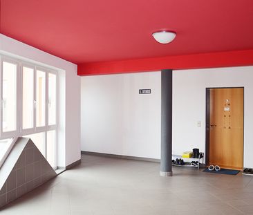 Wohnung in Allentsteig - Foto 4