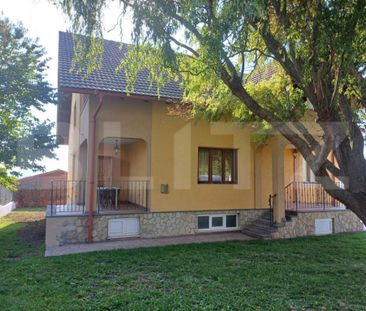 Casa de inchiriat, 150 mp, zona Vest - Fotografie 4