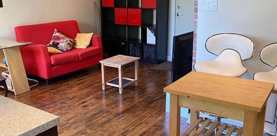 1 CH - 1 SDB - Montréal - $1,290 /mo - Photo 2