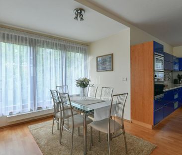 Pronájem domu 310 m2 - Fotografie 6