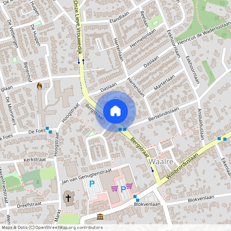 Waalre, 5581 BS, Dassenberg, Waalre