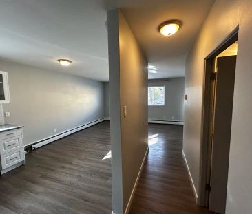 Massey House — Bachelor - Photo 6