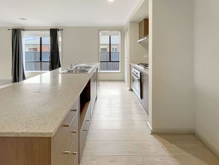 113 Edwards Street, Sebastopol - Photo 5