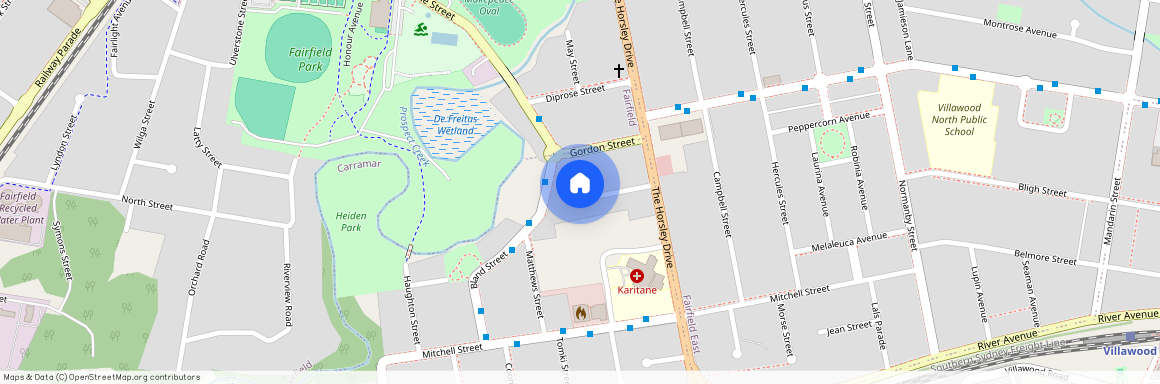 11 Dalmatia Street, 2163, Carramar Nsw