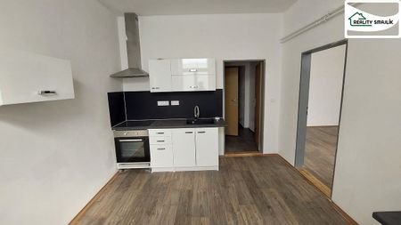 Pronájem bytu 1+1 46 m² - Fotografie 5