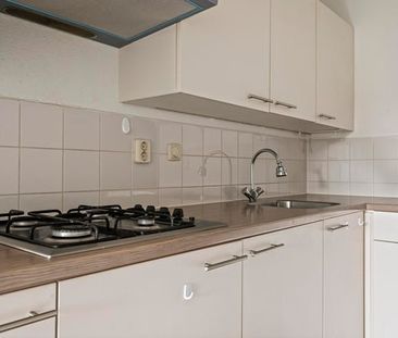 Voorjaarstraat - Photo 4