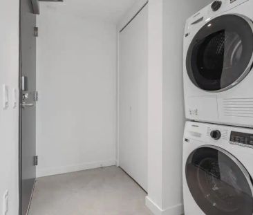 Main & 41st Apartments — 2 Bedroom 1 Bathroom - Photo 4