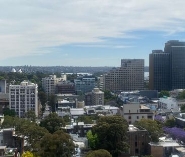 Darlinghurst - Photo 5