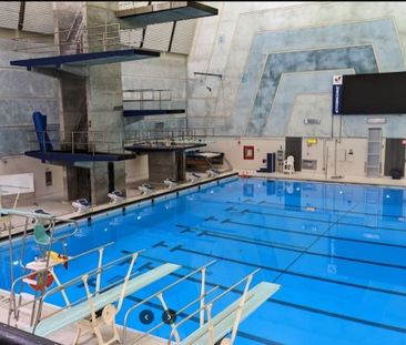 For Lease - 22 Hollister Road Unit# Lower Level, Toronto, Ontario - Photo 6