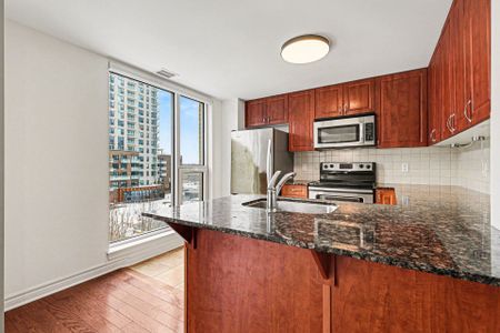 For Lease - 250 lett Street Unit# 510, West Centre Town, Ontario - Photo 4