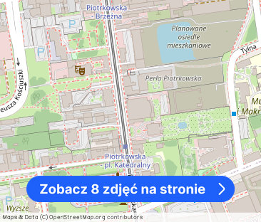 Nowy/Premium/Do wprowadzenia/Centrum/Piotrkowska - Zdjęcie 1