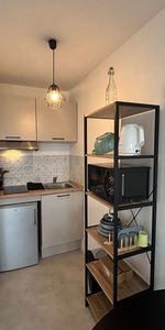 Location Appartement 1 pièce 23m² - Photo 3