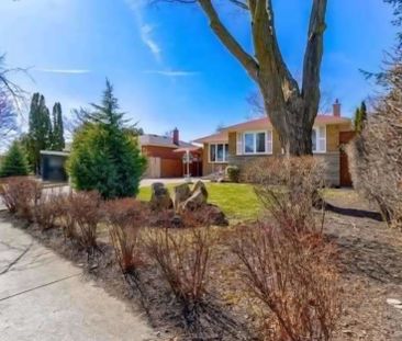 For Lease - 1312 Daimler Road Unit# Bsmt, Mississauga, Ontario - Photo 4