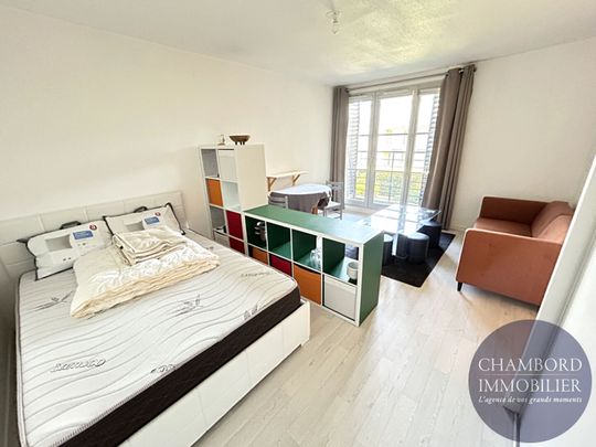 BLOIS - Studio quartier Basilique - Photo 1