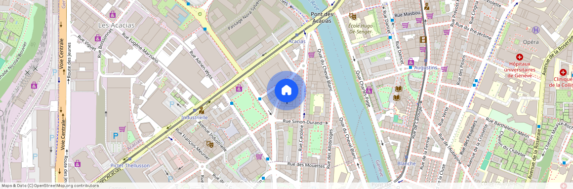 Rue du Grand-Bureau 11, 1227 LES ACACIAS